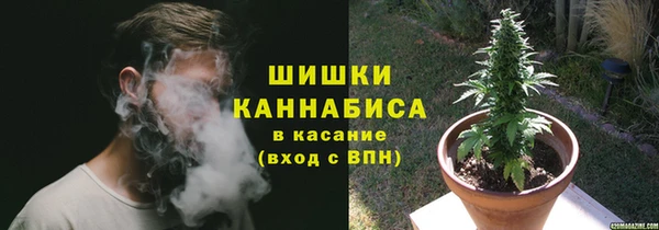 крисы Ступино