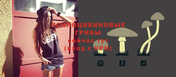 крисы Ступино