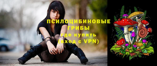 крисы Ступино