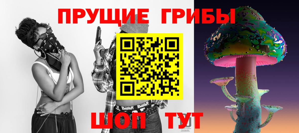 купить наркотики цена  Тайшет  Галлюциногенные грибы мухоморы 